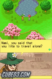 Screenshot for Harvest Moon DS on Nintendo DS