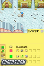 Screenshot for Harvest Moon DS on Nintendo DS