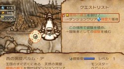 Screenshot for Final Fantasy Crystal Chronicles: My Life as a King - click to enlarge