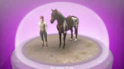 Screenshot for My Horse & Me - click to enlarge
