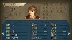 Screenshot for Fire Emblem: Radiant Dawn - click to enlarge