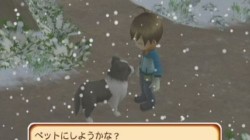 Screenshot for Harvest Moon: Tree Of Tranquility - click to enlarge