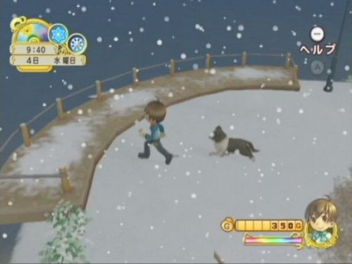 Screenshot for Harvest Moon: Tree Of Tranquility on Wii