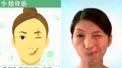 Screenshot for Face Training: Facial Exercises to Strengthen and Relax from Fumiko Inudo - click to enlarge