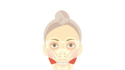 Screenshot for Face Training: Facial Exercises to Strengthen and Relax from Fumiko Inudo - click to enlarge