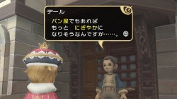 Screenshot for Final Fantasy Crystal Chronicles: My Life as a King - click to enlarge