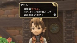 Screenshot for Final Fantasy Crystal Chronicles: My Life as a King - click to enlarge