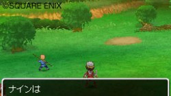 Screenshot for Dragon Quest IX: Sentinels of the Starry Skies - click to enlarge