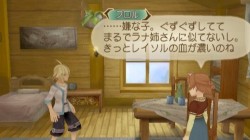 Screenshot for Tales of Symphonia: Dawn of the New World - click to enlarge