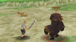 Screenshot for Tales of Symphonia: Dawn of the New World - click to enlarge