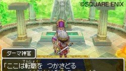 Screenshot for Dragon Quest IX: Sentinels of the Starry Skies - click to enlarge