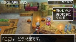 Screenshot for Dragon Quest IX: Sentinels of the Starry Skies - click to enlarge