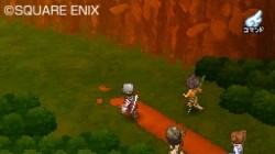 Screenshot for Dragon Quest IX: Sentinels of the Starry Skies - click to enlarge