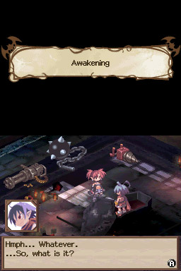 Screenshot for Disgaea DS on Nintendo DS