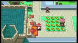 Screenshot for Pokémon Platinum Version - click to enlarge