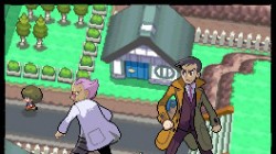 Screenshot for Pokémon Platinum Version - click to enlarge