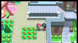 Screenshot for Pokémon Platinum Version - click to enlarge