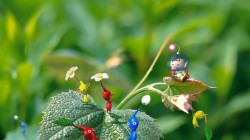 Screenshot for Pikmin - click to enlarge