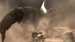 Screenshot for Monster Hunter 3 (tri) - click to enlarge