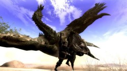 Screenshot for Monster Hunter 3 (tri) - click to enlarge