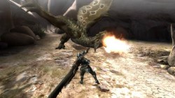 Screenshot for Monster Hunter 3 (tri) - click to enlarge