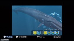 Screenshot for Endless Ocean 2: Adventures of the Deep - click to enlarge