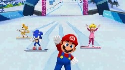 Screenshot for Mario & Sonic at the Winter Olympic Games - click to enlarge