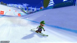 Screenshot for Mario & Sonic at the Winter Olympic Games - click to enlarge