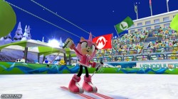 Screenshot for Mario & Sonic at the Olympic Winter Games - click to enlarge