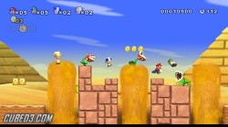 Screenshot for New Super Mario Bros. Wii - click to enlarge