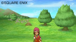 Screenshot for Dragon Quest IX: Sentinels of the Starry Skies - click to enlarge