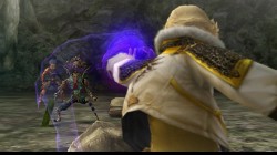 Screenshot for Final Fantasy Crystal Chronicles: The Crystal Bearers - click to enlarge