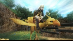 Screenshot for Final Fantasy Crystal Chronicles: The Crystal Bearers - click to enlarge