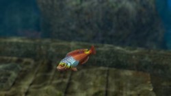 Screenshot for Endless Ocean 2: Adventures of the Deep - click to enlarge