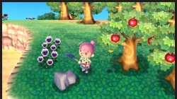 Screenshot for Animal Crossing: New Leaf - click to enlarge