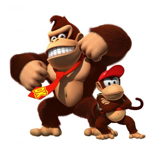 Image for E310 Media | Donkey Kong Country Returns for Wii