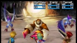 Screenshot for Golden Sun: Dark Dawn (Hands-On) - click to enlarge