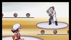 Screenshot for Pokémon HeartGold and SoulSilver - click to enlarge