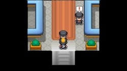 Screenshot for Pokémon HeartGold and SoulSilver - click to enlarge