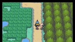 Screenshot for Pokémon HeartGold and SoulSilver - click to enlarge