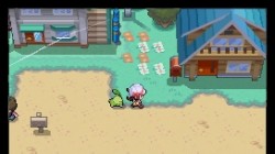 Screenshot for Pokémon HeartGold and SoulSilver - click to enlarge