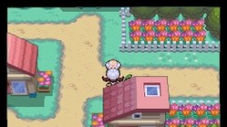 Screenshot for Pokémon HeartGold and SoulSilver - click to enlarge