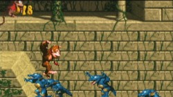 Screenshot for Donkey Kong Country - click to enlarge