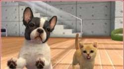 Screenshot for nintendogs + cats (Hands-On) - click to enlarge
