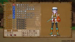 Screenshot for Dragon Quest X Online - click to enlarge