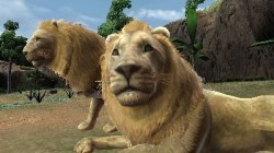 Screenshot for Zoo Resort 3D - click to enlarge