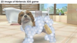 Screenshot for nintendogs + cats (Hands-On) - click to enlarge