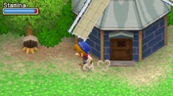 Screenshot for Harvest Moon DS: Grand Bazaar - click to enlarge