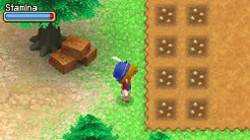 Screenshot for Harvest Moon DS: Grand Bazaar - click to enlarge