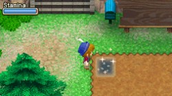 Screenshot for Harvest Moon DS: Grand Bazaar - click to enlarge